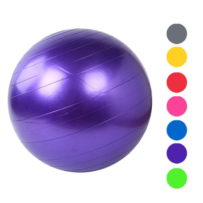 Home Exercise Fitness Yoga Ball